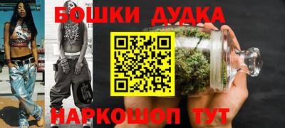 мдпв Будённовск