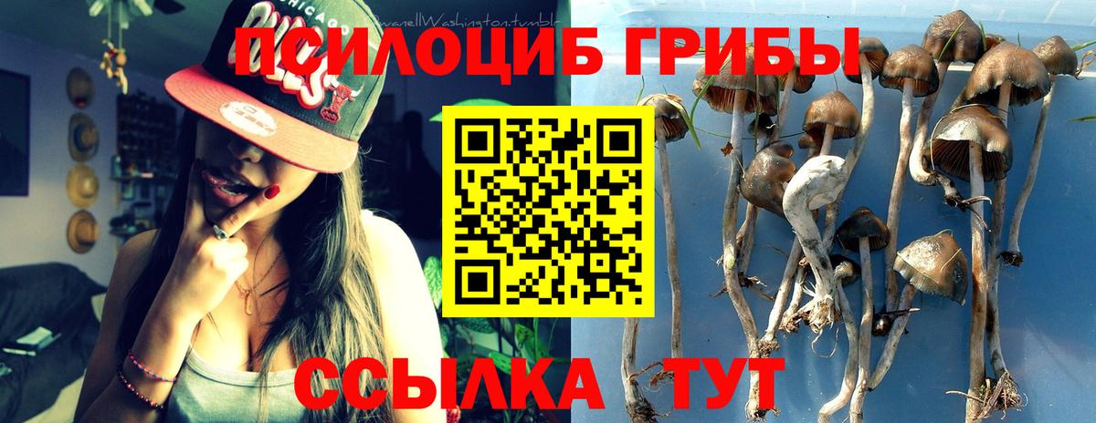 Псилоцибиновые грибы MAGIC MUSHROOMS  Галлюциногенные грибы прущие грибы  Валуйки  Вход с VPN 